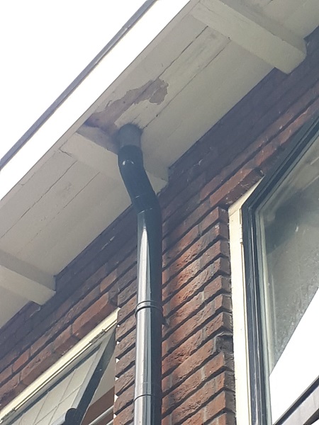  reparatie ontstoppen dakgoot Zaandam